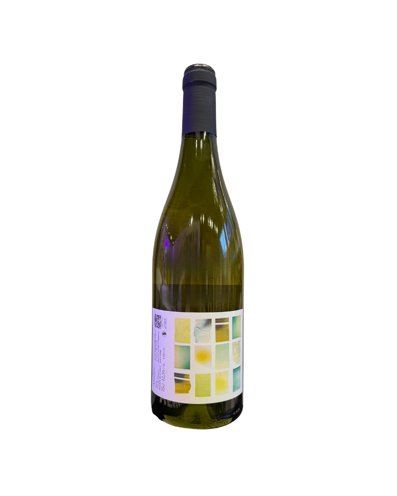 Raphaelle Guyot Amaltee Aligote 2024