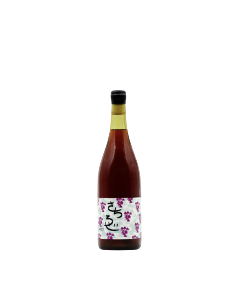 Aizawa Nouen 'Sachiroze' Rose Japan 2023