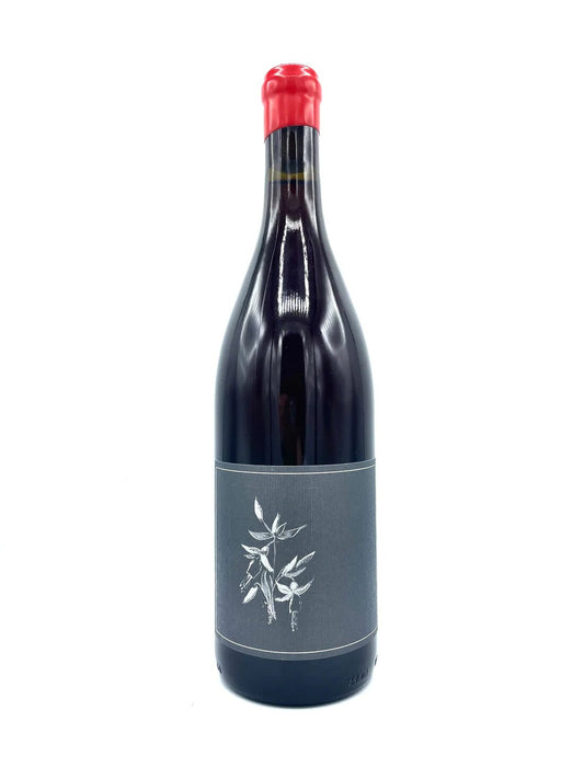 Arnot-Roberts North Coast Trousseau 2022
