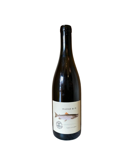 Delhomme & Co Saumon Chardonnay 2022