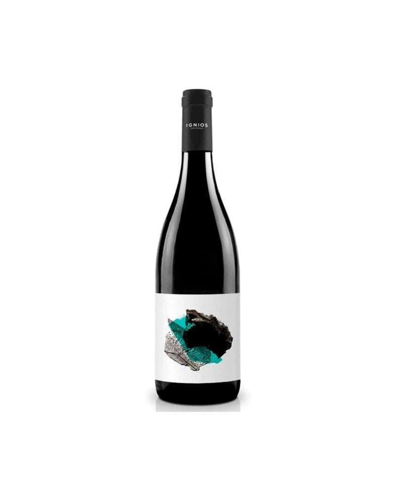 Ignios Origenes Ycoden-Daute-Isora Listan Negro Seleccion 2019