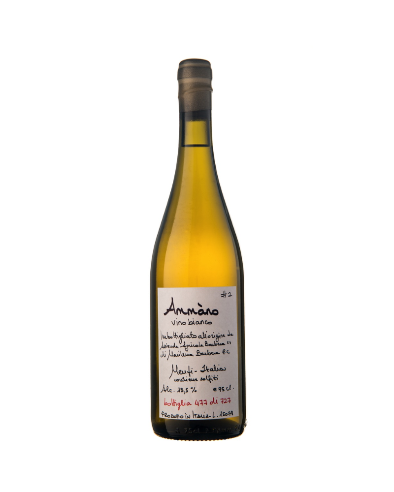 Cantine Barbera Menfi Ammano #11 Vino Bianco 2023